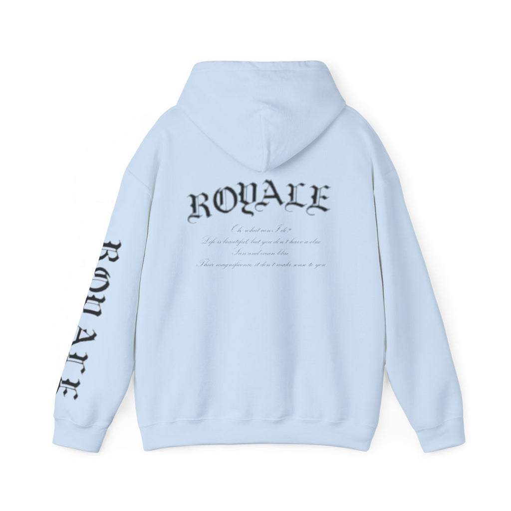 Unisex Heavy Blend™ Hooded Sweatshirt