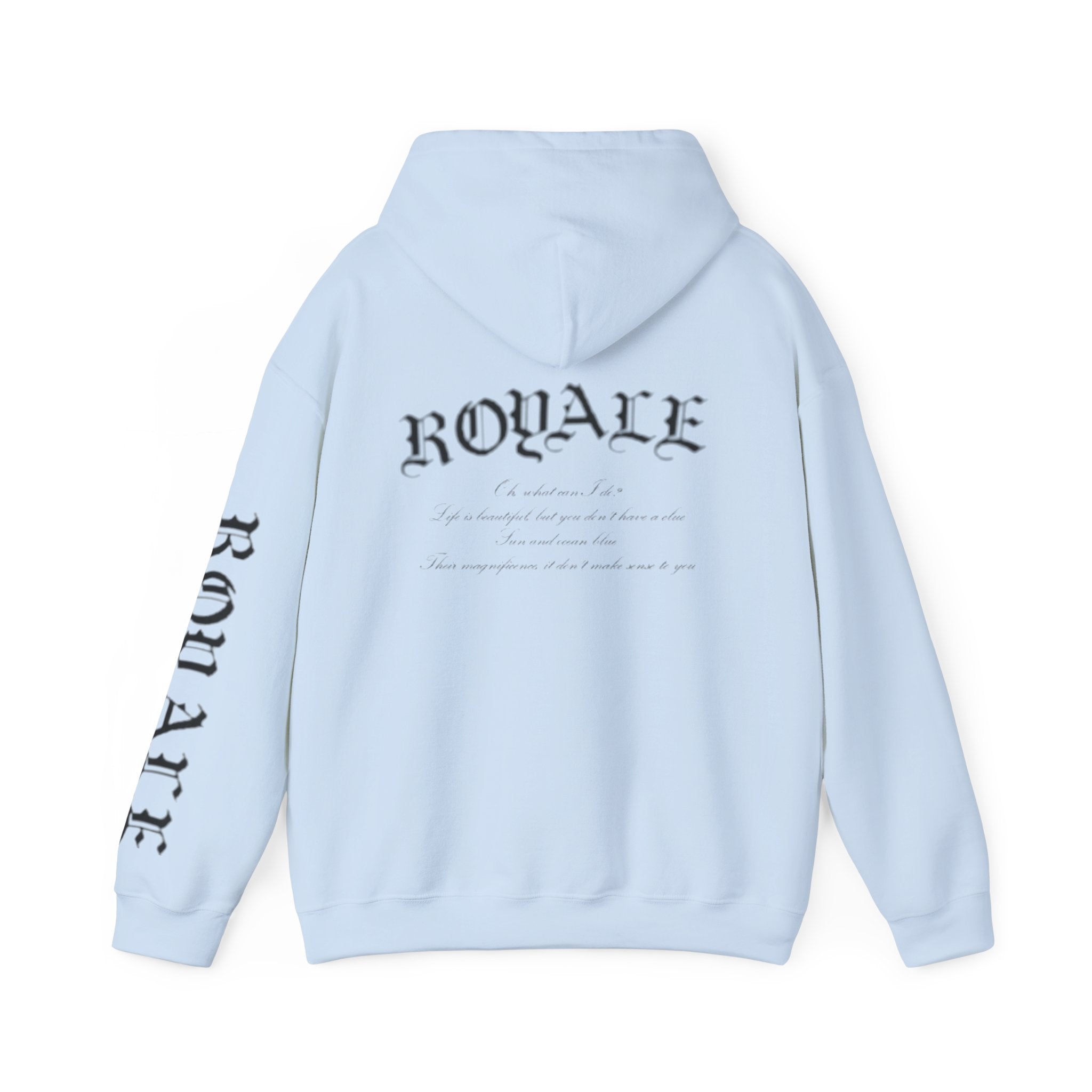 Unisex Heavy Blend™ Hooded Sweatshirt