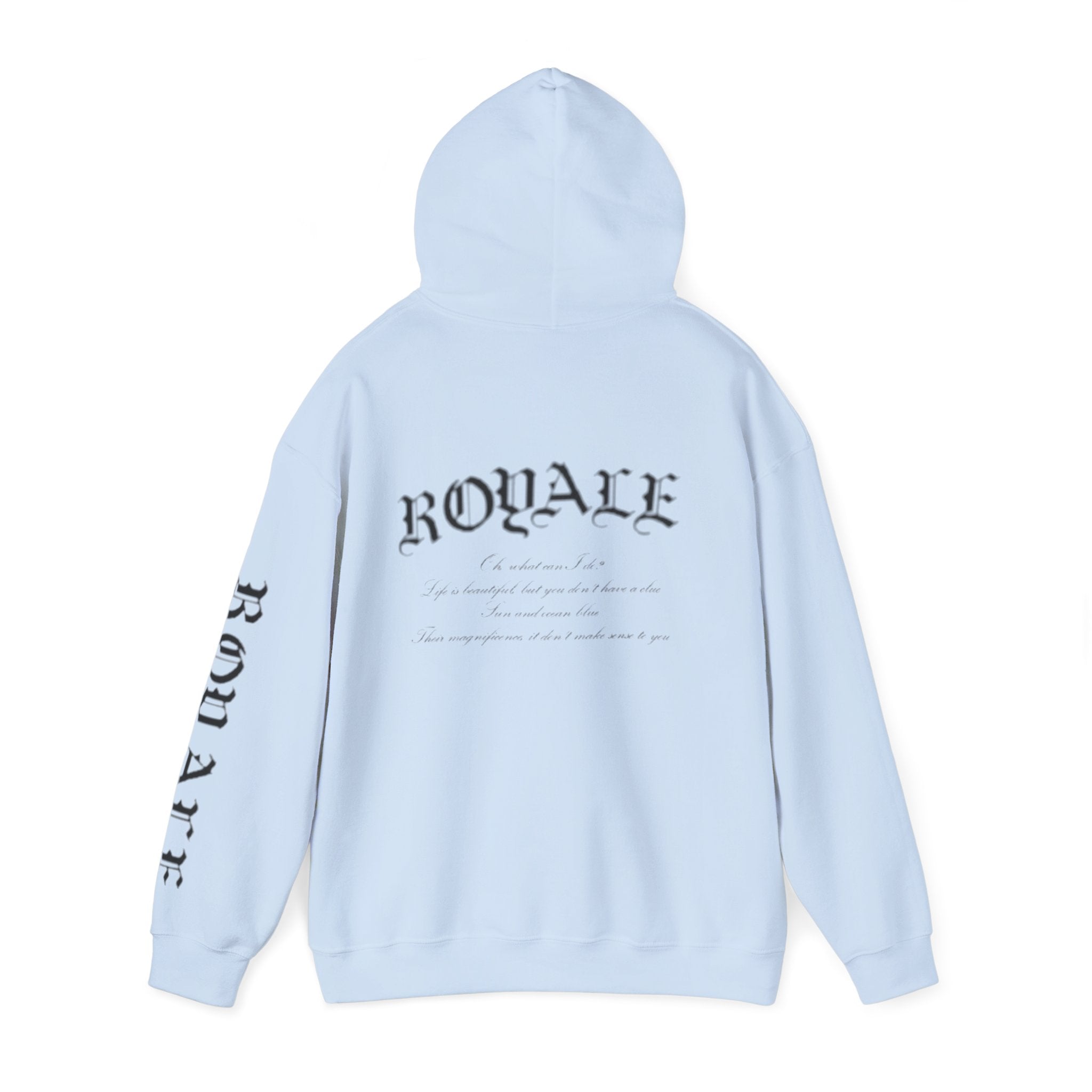 Unisex Heavy Blend™ Hooded Sweatshirt